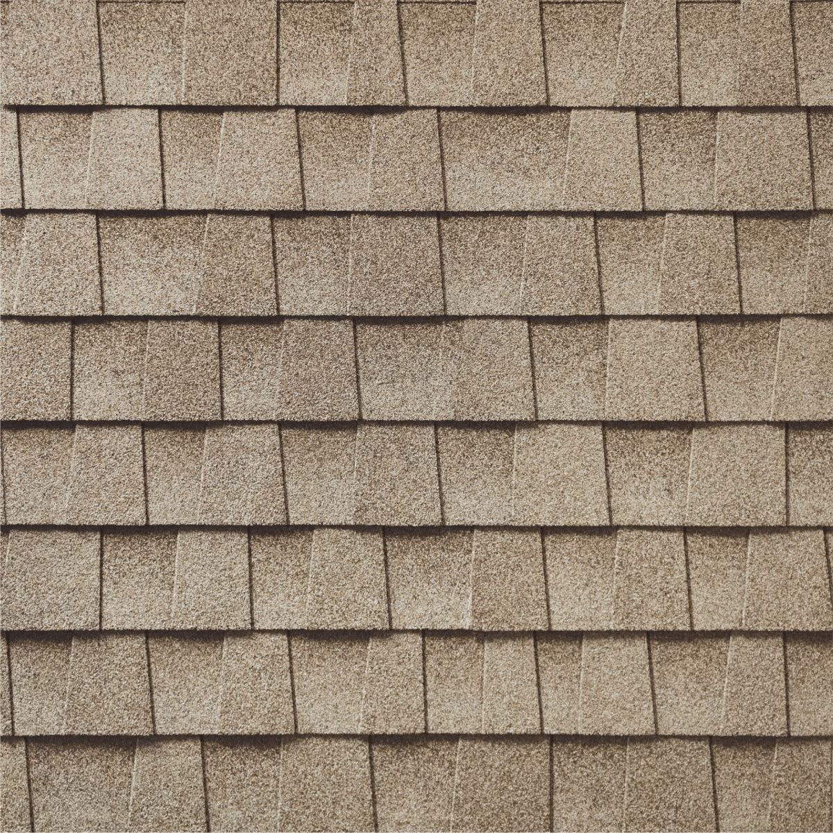 New Edge Improvement Images