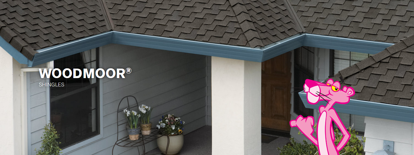 New Edge Improvement Images