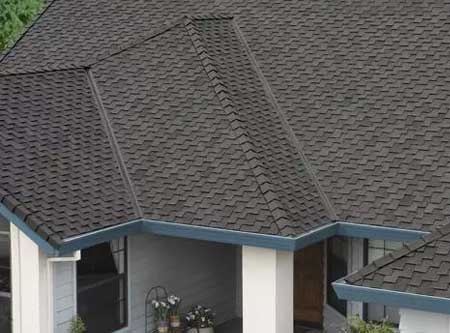 New Edge Improvement Images