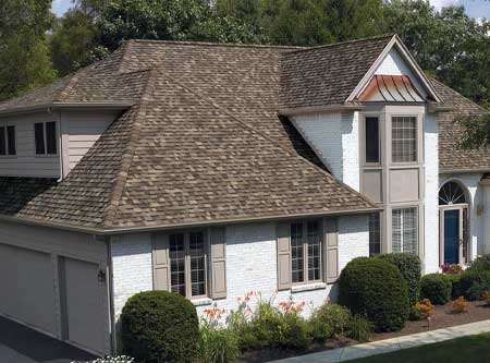 New Edge Improvement Images