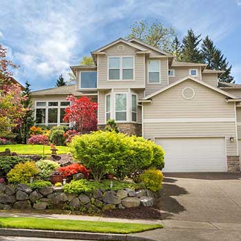 New Edge Improvement Images